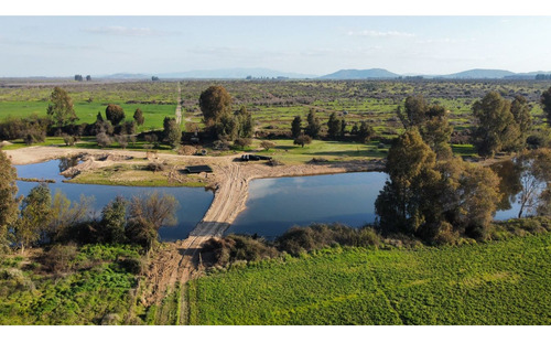 Parcela San Jose De Marchigue Acceso A Estero - Ng Gestión