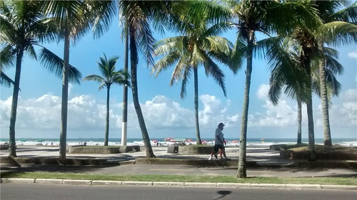 Imagem 3 de 30 de Apartamento Com 3 Dormitórios De Frente Para A Praia - Ap0973