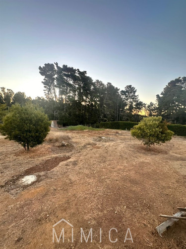 Casa En Arriendo De 4 Dorm. En Algarrobo