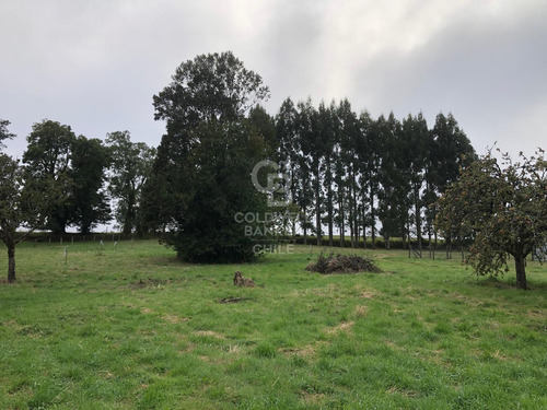 Espectacular Terreno De 3,9 Hectáreas En Puerto Varas