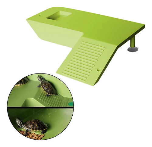Accesorios Para Tanques De Tortugas Plataforma Para Verde