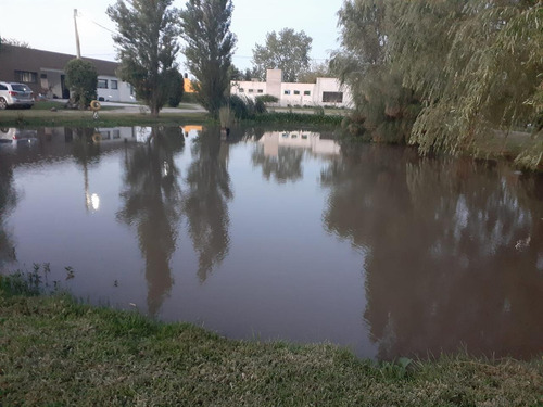 Imagen 16 de 19 de Terreno En La Plata - 641 E/ 1 Y 115 - Dacal Bienes Raices