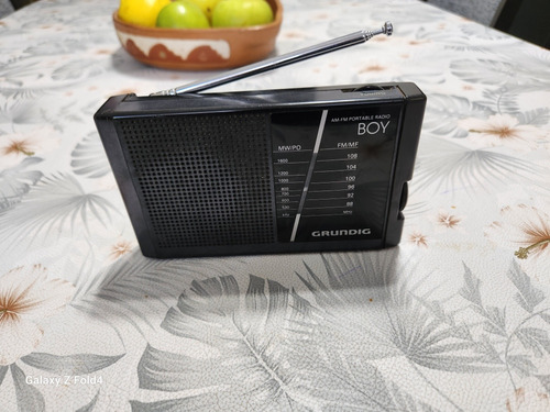 Radio Amfm Grundig 