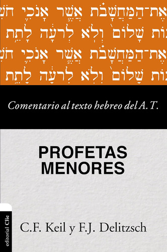 Libro Comentario Al Texto Hebreo Del Antiguo Testamento