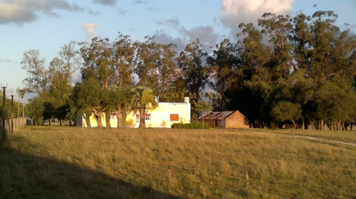 Campo De 35 Has Buen Suelo Con Tajamar, Cañada Agua Permante Y Casa. - Ref: 3175
