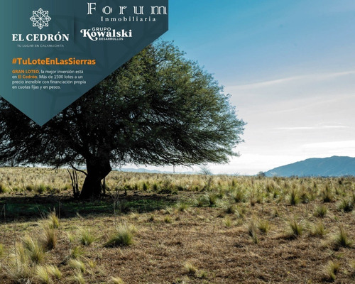Compra Tu Lote: El Cedrón: Va. Ciudad Parque Los Reartes