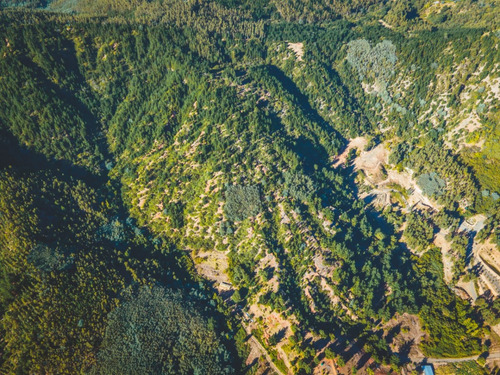 Parcela Forestal En Ñipas, Ranquil.