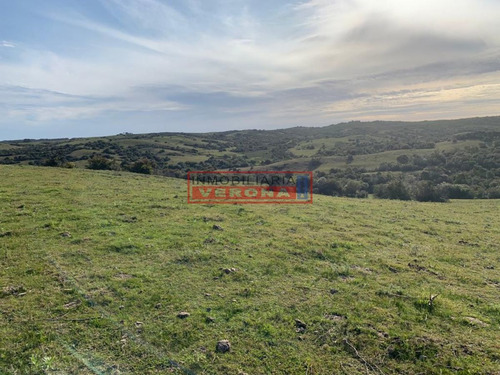 Imagen 23 de 30 de Venta Campo Ubicado En Garzón