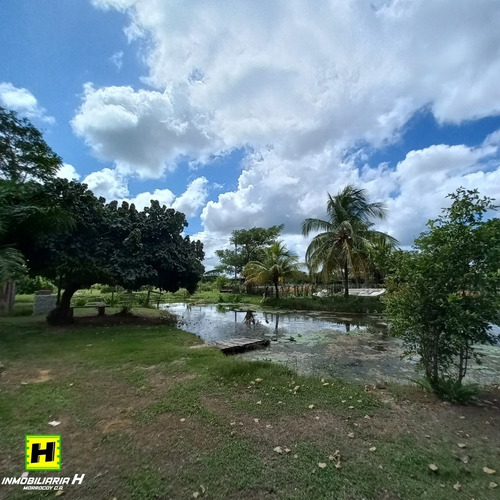 Imagen 11 de 13 de Preciosa Finca Para Fines De Posada En Tucacas