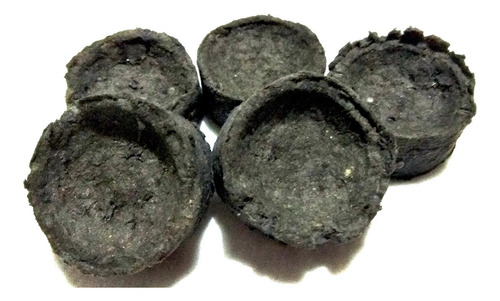100 Carbones Vegetal Brasa Sacra (quemar Incienso)