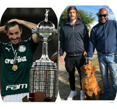 Imagen 4 de 5 de Adiestramiento Y Rehabilitaciones Caninas Ruben Silva Videla
