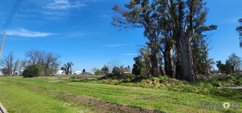 Terreno / Lote En Venta En El Polo Industrial De General Rodríguez