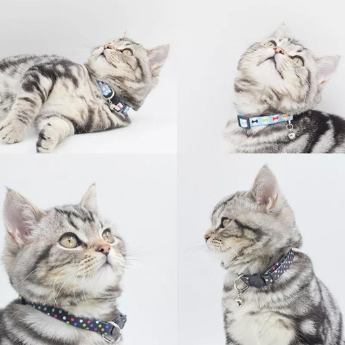Collar Para Gato Anti Ahorque Ajustable Con Cascabel