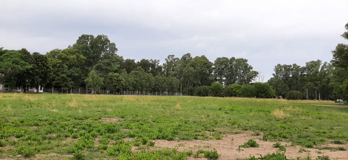 Imagen 6 de 8 de Lotes Baldíos De 753 M2 En Cañuelas (ref: El Retiro)