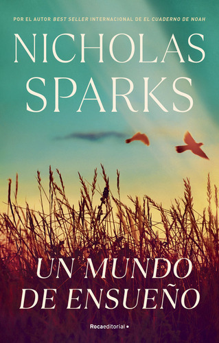 Libro Un Mundo De Ensueão - Nicholas Sparks