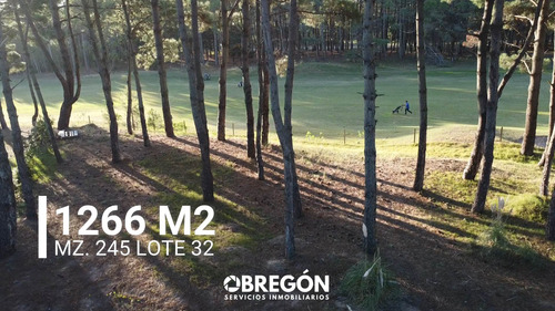 Imagen 2 de 8 de Lote En Venta En La Isla Del Golf Pinamar