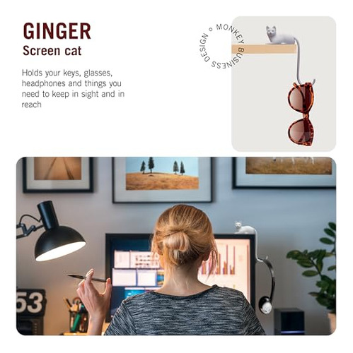 Ginger El Gato, Un Monete En La Pantalla De La Computadora,