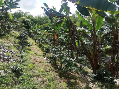 Imagen 16 de 30 de Vendo Finca En Avenida Condina Precio De Oportunidad