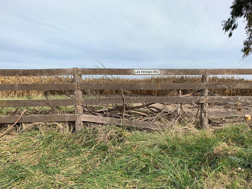 Imagen 12 de 17 de Venta- Campo De 82 Hectáreas En Goldney