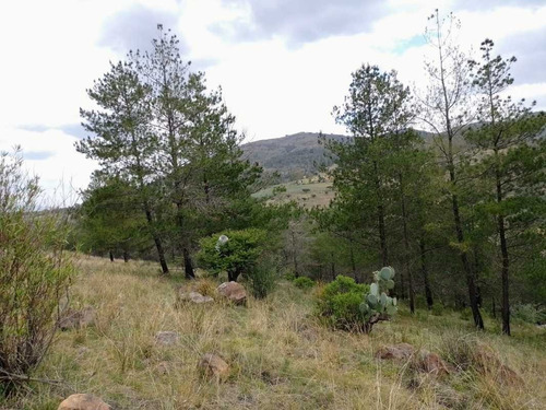 Imagen 8 de 13 de Atractivo Terreno A Pie De Carretera En Tepotzotlán