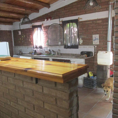 Venta Finca Olivos Ciruelas En San Rafael Mendoza