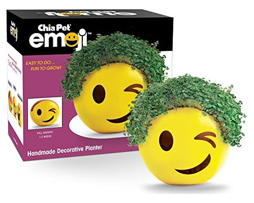 Chia Emoji Winky Jardinera Decorativa Hecha A Mano Amarilla