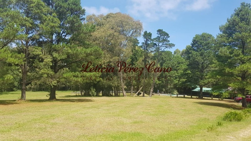 Venta De Chacra En Maldonado, Punta Ballena 5 Has - Ref: 19265