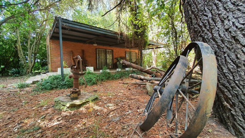 Imagen 28 de 30 de Casa Quinta 6 Amb Quincho Parrilla Pileta 5 Lotes Arbolados En Alejandro Petion Cañuelas