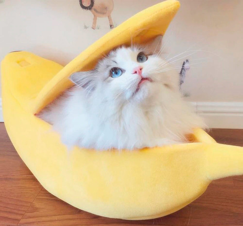 Cama Para Pet Banana Gato E Cachorro Banana Caminha Casa Almofada Portátil - Pronta Entrega | Mercado Livre