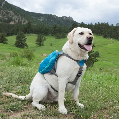 Alforja O Mochila Backpack Para Carga Para Perro Grande