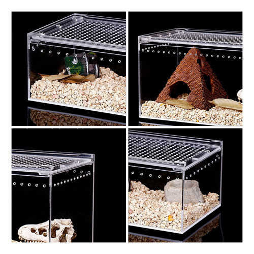 Caja De Cría De Tortugas Para Terrario, Tanque De Terrario P