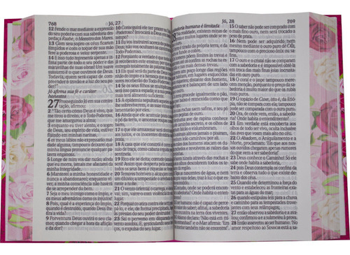 Bíblia Sagrada - Bkja - Letra Jumbo - Capa Dura Rosa Geométrica