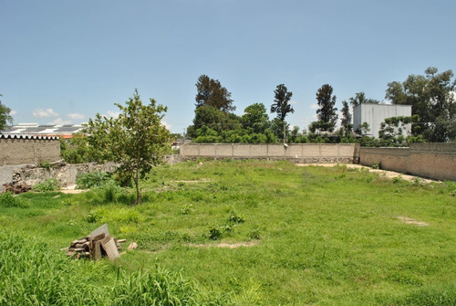 Imagen 3 de 8 de Terreno En Renta A Espaldas De Ecopark
