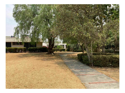 Imagen 12 de 13 de Excelente Terreno En La Mejor Zona De Jardines Del Pedregal
