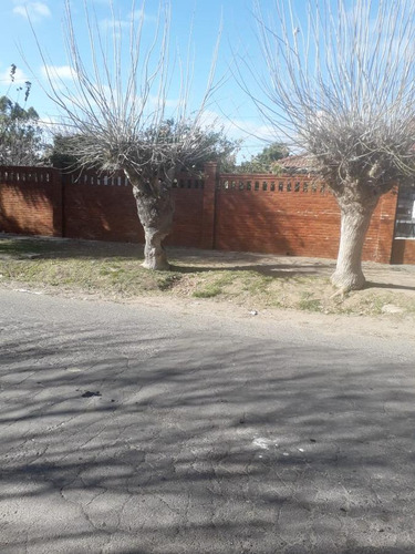 Casa En Alquiler - 2 Dormitorios 1 Baño - 90mts2- Manuel B Gonnet