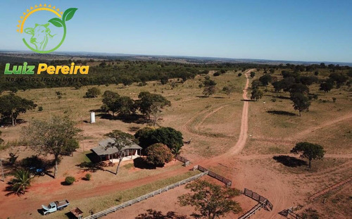 Imagem 4 de 4 de Fazenda À Venda Em Figueirão - Ms - De 1.760 Hectares (pecuária) - 1797