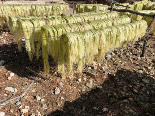 Fibra De Henequen 100% Natural De Agave Textil No Contamina