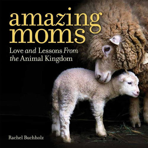 Amazing Moms - Buchholz - National Geographic 