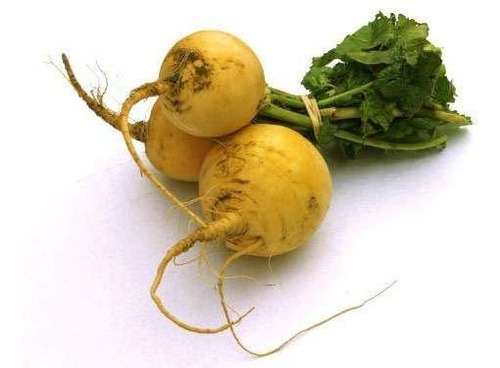 Golden Ball Turnip Seeds, 1000+ Premium Heirloom Seeds, On