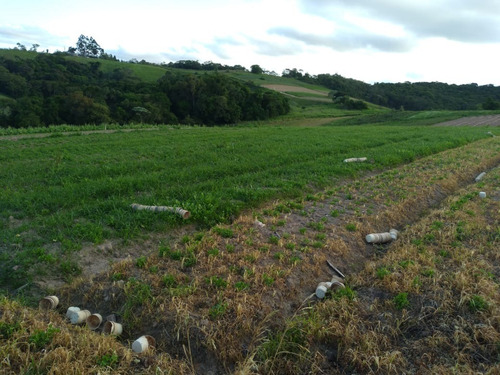 Imagem 19 de 30 de 20o Terreno Para Venda 1000m Em Cotia