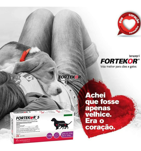 Fortekor Flavour Cães Gatos Com 28 Comprimidos Elanco