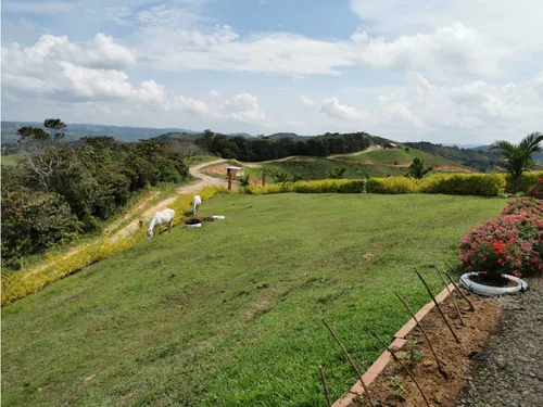 Lote Cisneros, Antioquia Entrando Por Yolombo - Se Vende/permuta