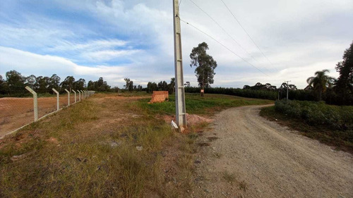 Imagem 10 de 12 de Chácara Em Eucaliptos, Fazenda Rio Grande/pr De 20000m² 1 Quartos À Venda Por R$ 180.000,00 - Ch1510288-s