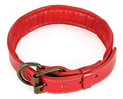 Collar De Cuero Acolchado Para Perros - Resistente Y De Alta