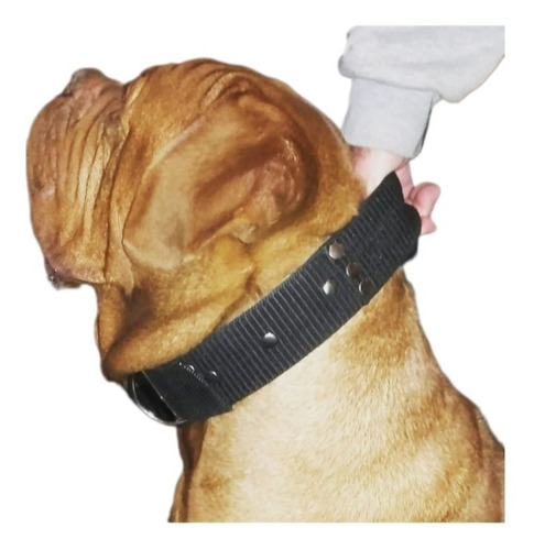 Collar Reforzado Con Agarre  Pitbull/dogo/rott/mastín