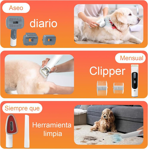Aspiradora Removedor De Pelo De Mascotas 7 En 1 Gris