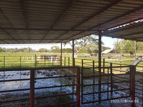 Imagen 5 de 24 de Finca En Barinas A Orilla De La Carretera