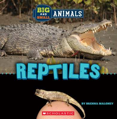Libro Reptiles (wild World: Big And Small Animals) - Malo...