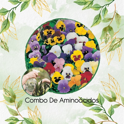 Imagen 1 de 6 de Combo De Aminoácidos Concentrado Para Viola Tricolor Máxima