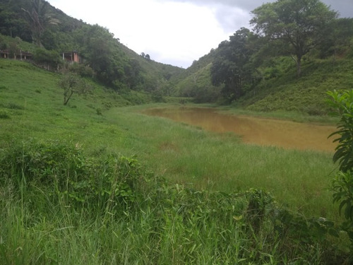 Imagem 20 de 30 de Fazenda - Fa00003 - 34856184